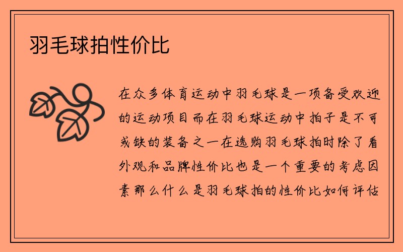 羽毛球拍性价比